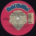 Marley Marl / The Symphony