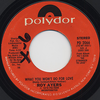 Roy Ayers / What You Won't Do For Love