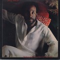 Jerry Butler / Nothing Says I Love You Like I Love You