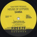 Todd Terry / Samba (MK / Louie Vega Remixes)