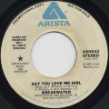 Breakwater / Say You Love Me Girl
