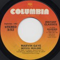 Marvin Gaye / Sexual Healing