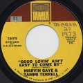 Marvin Gaye & Tammi Terrell / Good Lovin' Ain't Easy To Come By