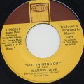 Marvun Gaye / Ego Tripping Out