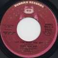 Stan Holland / Hot For What You Got