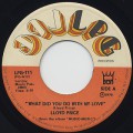 Lloyd Price / What Did You Do With My Love