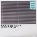 Oddisee / The Beauty In All