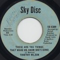 Timothy Wilson / These Are The Things That Make me Know She's Gone