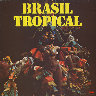 Edwaldo Carneiro & Domingos Campos / Brasil Tropical