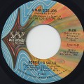 Denise LaSalle / A Man Size Job