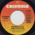 Marvin Gaye / Sanctified Lady