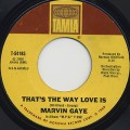 Marvin Gaye / That's The Way Love Is