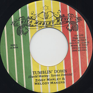 Ziggy Marley & Melody Makers / Tumblin' Down front