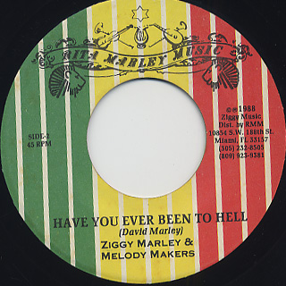 Ziggy Marley & Melody Makers / Tumblin' Down back