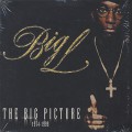 Big L / The Big Picture 1974-1999