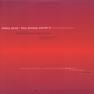 Macy Gray / Hey Young World II back