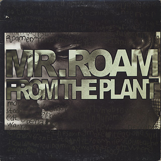Mr.Roam From The Plant / Groupie Central