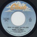 Bobby Caldwell / What You Won't Do For Love