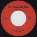 DJ Format / Stealin' James
