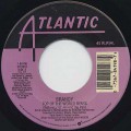 Brandy / Top Of The World Remix featuring Big Pun & Fat Joe(45)