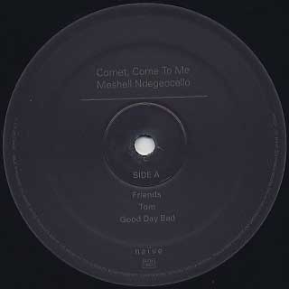 Meshell Ndegeocello / Comet, Come To Me label