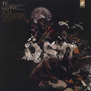 Quantic Soul Orchestra / Pushin On