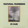 Natural Numbers / In Dub