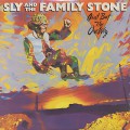 Sly And The Family Stone / Ain't But The One Way