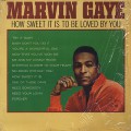 Marvin Gaye / How Sweet It Is To Be Loved By You