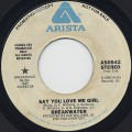 Breakwater / Say You Love Me Girl