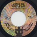 Motherlode / When I Die (45)
