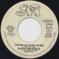 Curtis Mayfield / You're So Good To Me