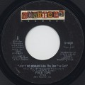 Four Tops / Ain't No Woman (Like The One I've Got)