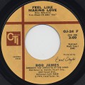 Bob James / Feel Like Making Love (7