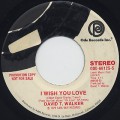 David T. Walker / I Wish You Love (7