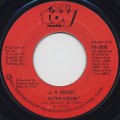 J.R. Bailey / After Hours c/w Heaven On Earth