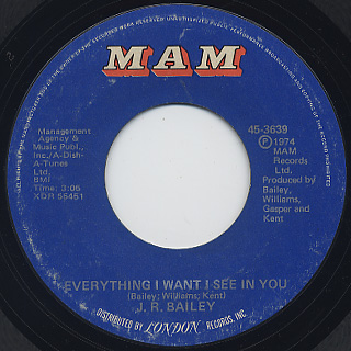 J.R. Bailey / Everything I Want I See In You (EX) front