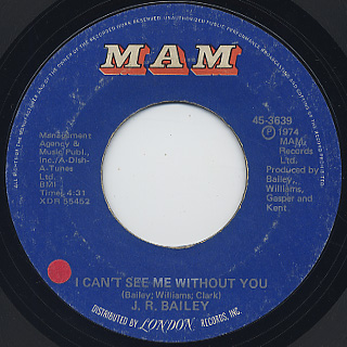 J.R. Bailey / Everything I Want I See In You (EX) back
