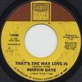 Marvin Gaye / That's The Way Love Is-1