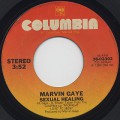 Marvin Gaye / Sexual Healing