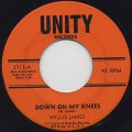 Willie James / Down On My Knees-1