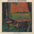 Neville Brothers / Fiyo On The Bayou