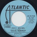 David Newman / Foxy Brown