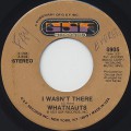 Whatnauts / I Wasn't There c/w Give Him Up