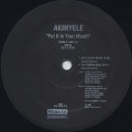 Akinyele / Put It In Your Mouth