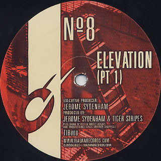 Jerome Sydenham & Tiger Stripes / № 8 - Elevation front
