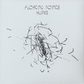 Floating Points / Kuiper