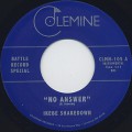 Ikebe Shakedown / No Answer c/w The Jive Turkeys / No Answer