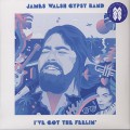 James Walsh Gypsy Band / I've Got The Feelin'