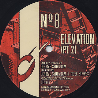Jerome Sydenham & Tiger Stripes / № 8 - Elevation back
